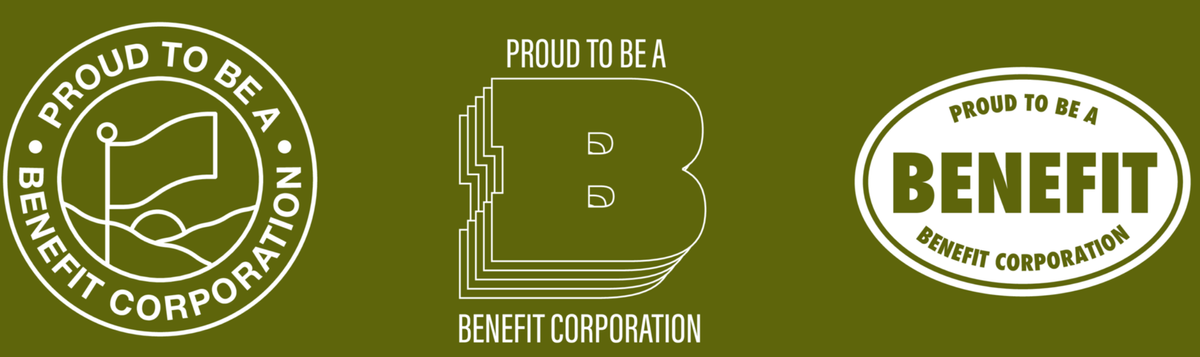 The B-wildering World of Benefit Corporations